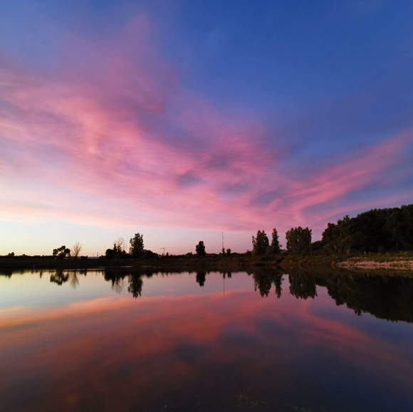 Meet your Posher, Tera - Picture 1 of 1